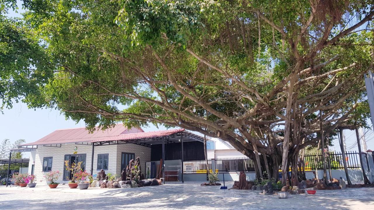 Homestay Thao Nguyen Xanh Lang Van Ke エクステリア 写真